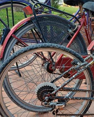 BICICLETTA RAGAZZINO