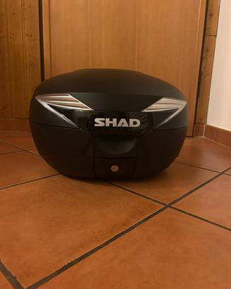 Bauletto Shad SH39