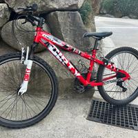 Bici ragazzi 24”