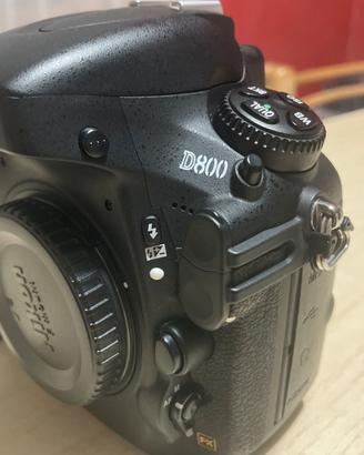 Nikon d800  36.3 megapixel