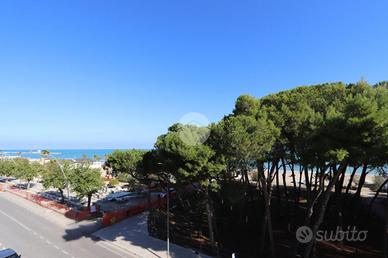 3 LOCALI A ALBA ADRIATICA