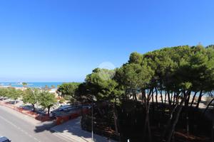 3 LOCALI A ALBA ADRIATICA