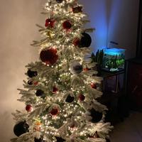 Albero di Natale con Luci