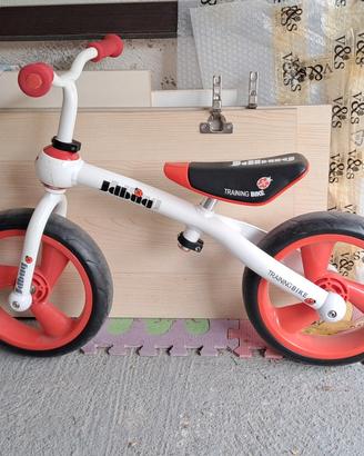 bici dell'equilibrio 