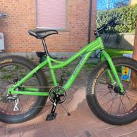 Bicicletta da sabbia e neve