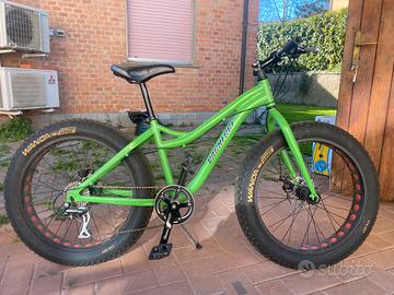 Bicicletta da sabbia e neve