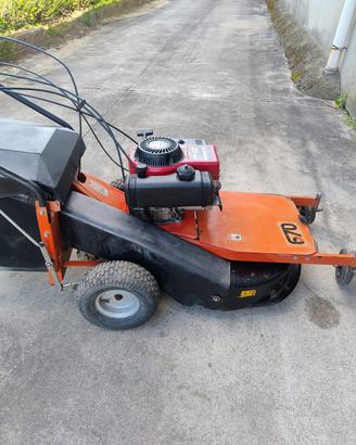 Tagliaerba 10hp 