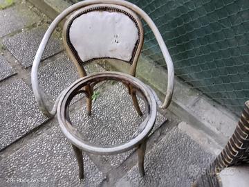 sedia da coll