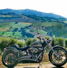 Harley Davidson Breakout