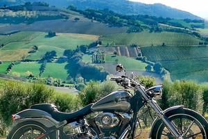 Harley Davidson Breakout
