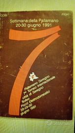 Festa della Pallamano Seregno