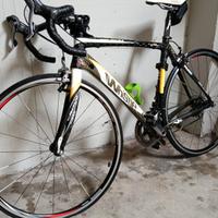 bici corsa in carbonio