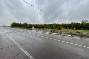 Immobile in asta di 15071 m² a Correggio