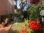 Immagine 26