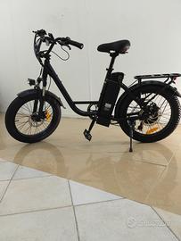 bici elettrica per adulti