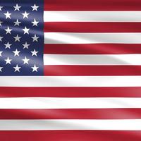 Madrelingua impartisce lezioni di inglese