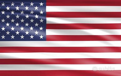 Madrelingua impartisce lezioni di inglese