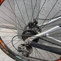 MTB  29