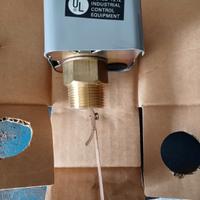 Flussostato a paletta 