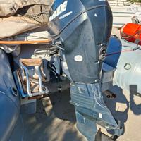Evinrude ETEC 40