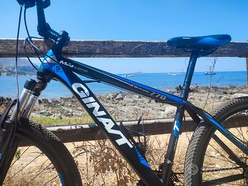 Mtb Giant