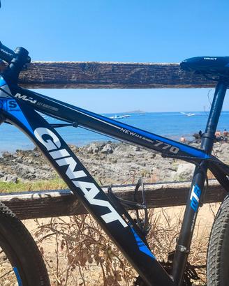 Mtb Giant