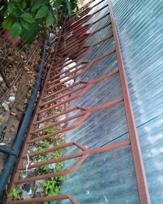 Mangiatoia per pecore e capre