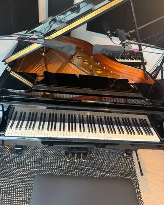 Steinway A188