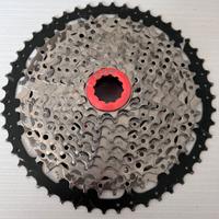 Pacco pignoni 10v 11/50