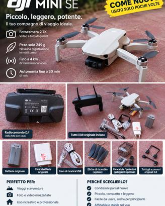 Dji Mini se