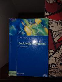 libro sociologia economica