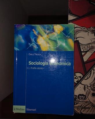 libro sociologia economica