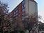 Immagine 13