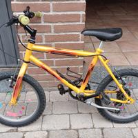 Bici bambino 16