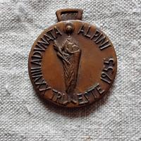 Medaglia ANA Associazione nazionale alpini XXVIII 