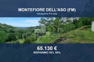 Immobile in asta di 17155 m² a Montefiore dell'Aso