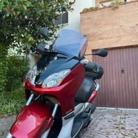 Xmax 250