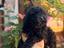 Immagine 9