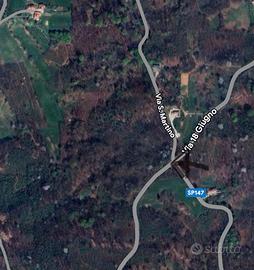 Bosco sulla dorsale del Montello