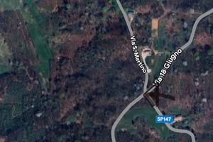 Bosco sulla dorsale del Montello