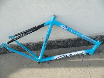 Div telai alluminio e carbonio