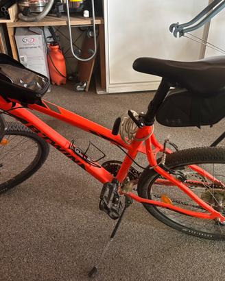 bicicletta Mountainbike