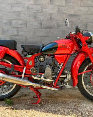 SPLENDIDA MOTO GUZZI AIRONE 250 SPORT