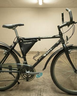 MOUNTAIN BIKE