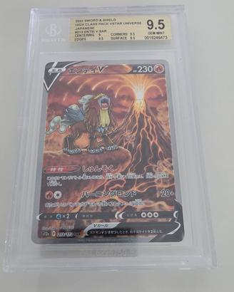 Entei V SAR