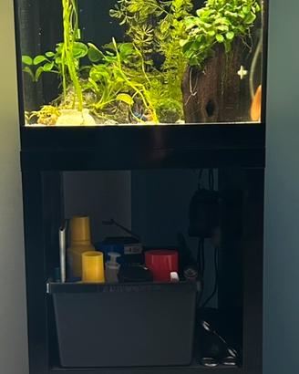 Acquario Askoll  pure m con mobile