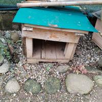 cuccie x cani piccola taglia o gatti