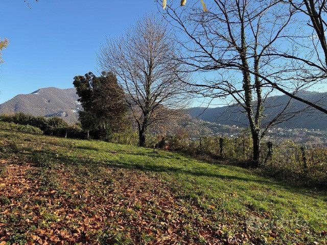 Terreno Agricolo Nembro [Cod. rif 3282803VCG] - Vista 3