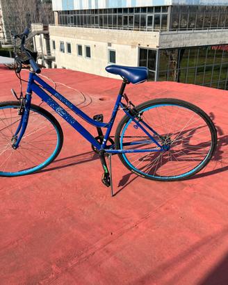 Bicicletta adulto edizione baci perugina