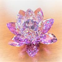 Swarovski, ninfea WATERLILY VIOLET SMALL